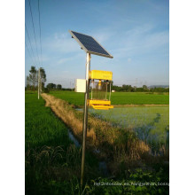 Lámpara Insecticida Solar de Alta Eficiencia